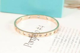 Picture of Tiffany Bracelet _SKUTiffanybracelet06cly5815245